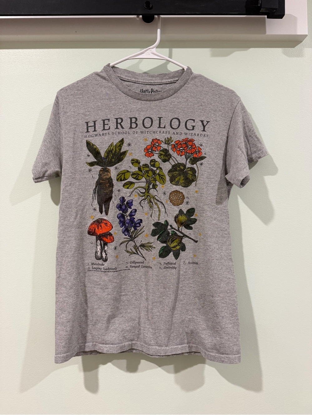 Warner Bros. Herbology Graphic Tee - Gray